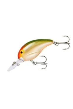 Bandit 200 Crankbait Lure -Sports Equipment Store BDT222 20SPEC