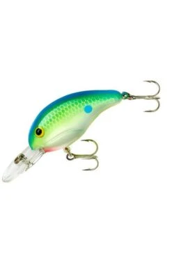 Bandit 200 Crankbait Lure -Sports Equipment Store BDT2D01