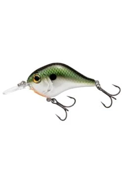 Bill Lewis MR-6 Crankbait 2 1/2in 1/2oz 6ft -Sports Equipment Store BLB6MR 2039a