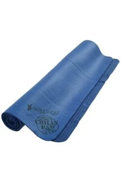 Frogg Toggs Chilly Pad -Sports Equipment Store FRTCP100 20VBLU
