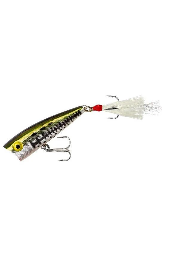 Rebel Pop R Topwater Bait 2.5" 1/4oz 6 Rebel Pop R Topwater Bait 2.5" 1/4oz - Image 4