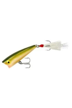 Rebel Pop R Topwater Bait 2.5" 1/4oz 13 Rebel Pop R Topwater Bait 2.5" 1/4oz -Sports Equipment Store REBP6048