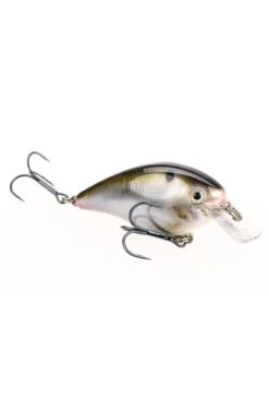 Strike King KVD Square Bill 1.5 -Sports Equipment Store STKHCKVDS15699