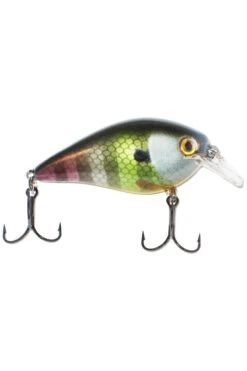 Strike King KVD Square Bill 1.5 -Sports Equipment Store STKHCKVDS15 20651