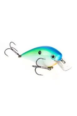 Strike King KVD Square Bill 2.5 24 Strike King KVD Square Bill 2.5 -Sports Equipment Store STKHCKVDS25534