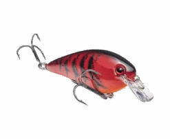 Strike King KVD Square Bill 1.5 -Sports Equipment Store hckvds1.5 450 kvd1.5squarebill deltared glamright