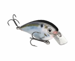 Strike King KVD 8 Square Bill Crankbait 11 Strike King KVD 8 Square Bill Crankbait -Sports Equipment Store hckvds8.0 699 kvd8.0squarebill naturalshad glamright