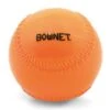 Bownet 12" Seam 18oz Weight Iron Sand Balls